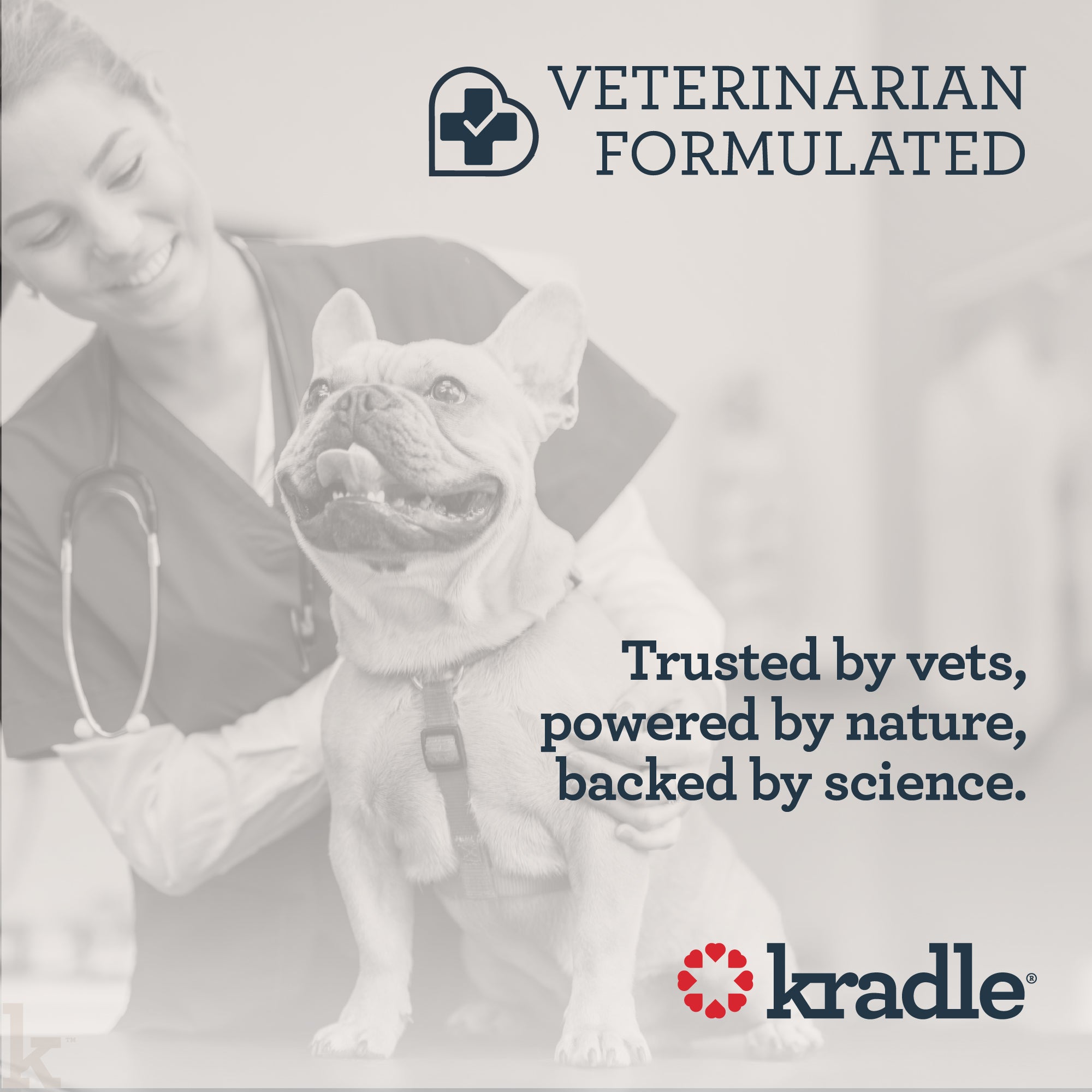 Daily Calming Chews For Dogs