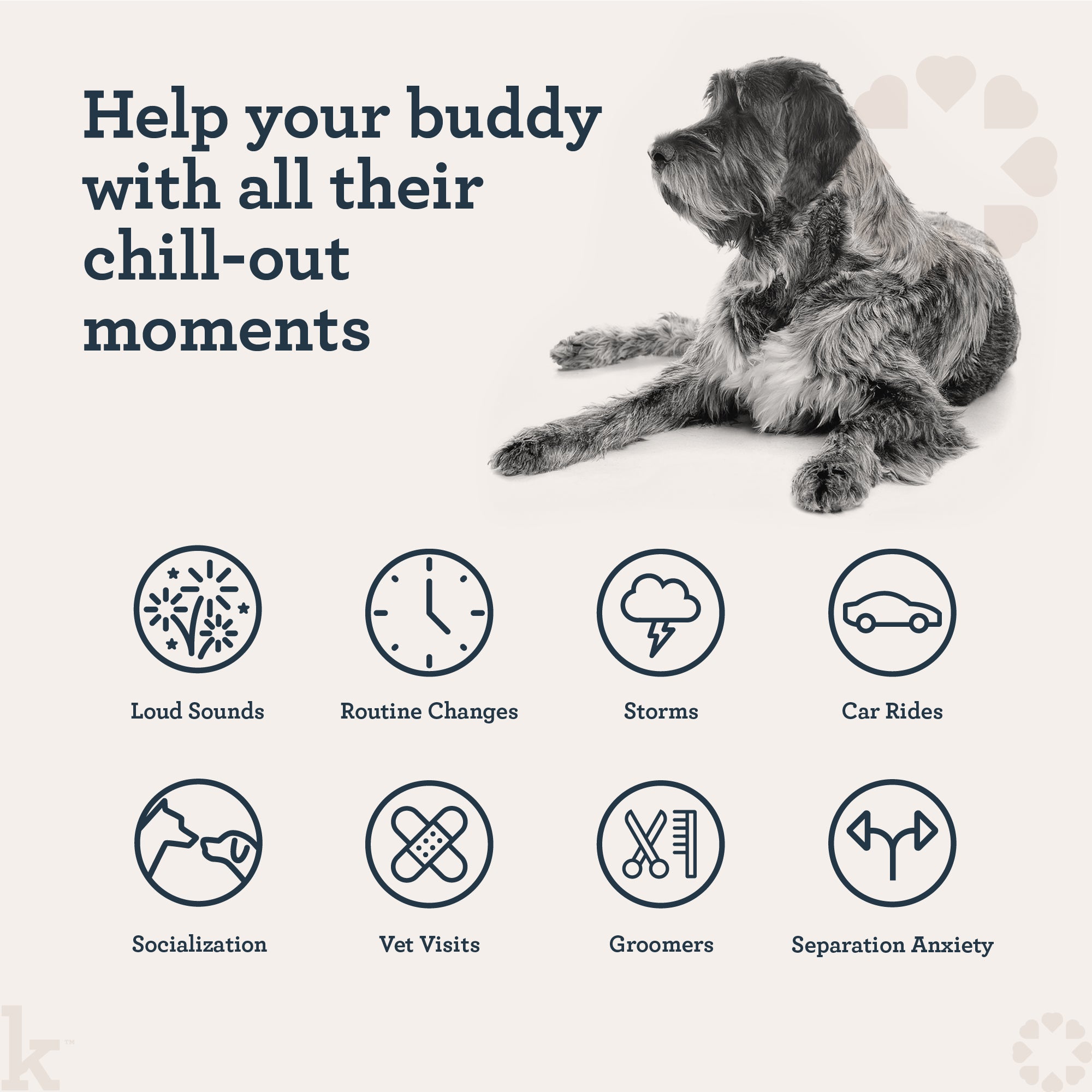 Daily Calming Chews For Dogs