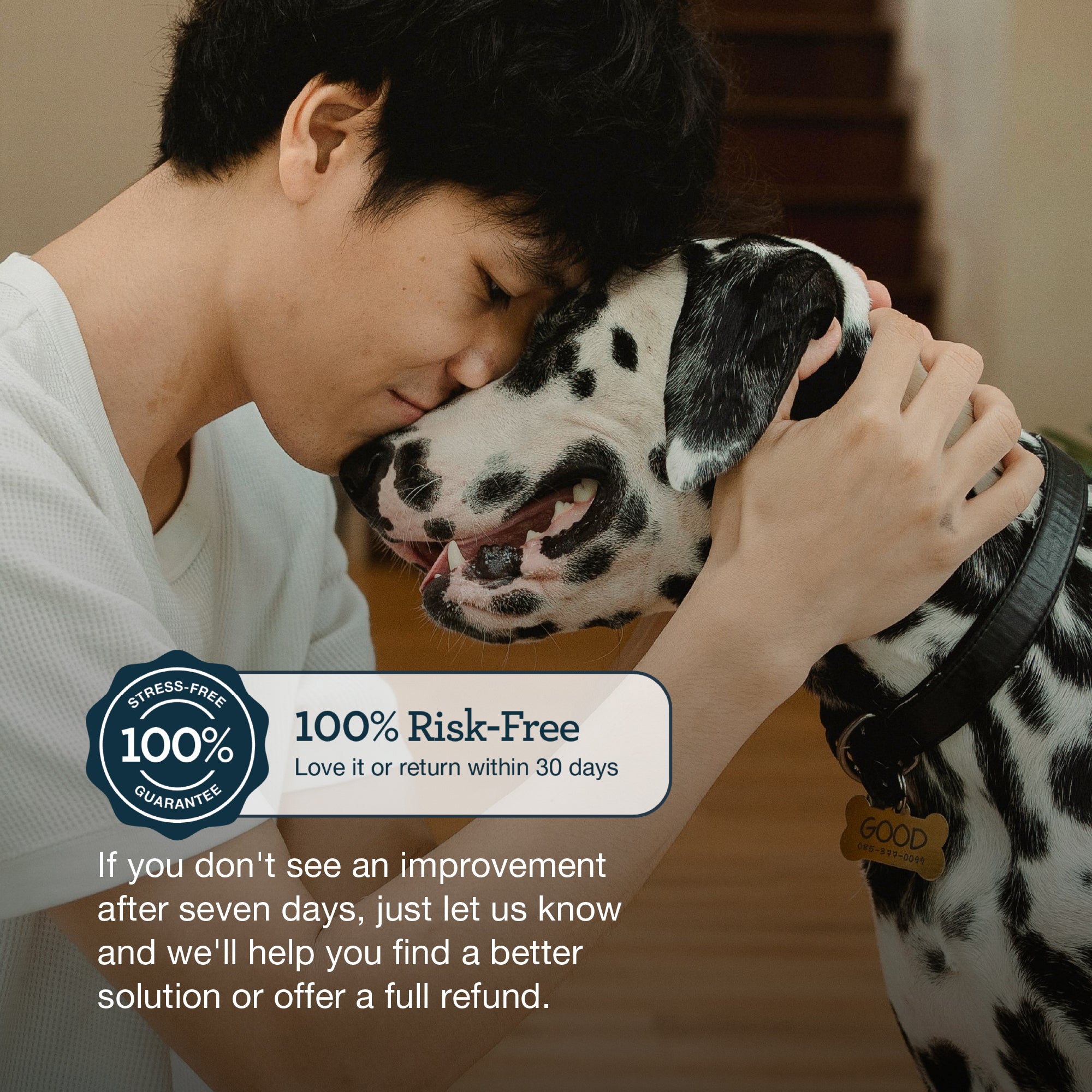 Pre+ Post+ Probiotic Chews