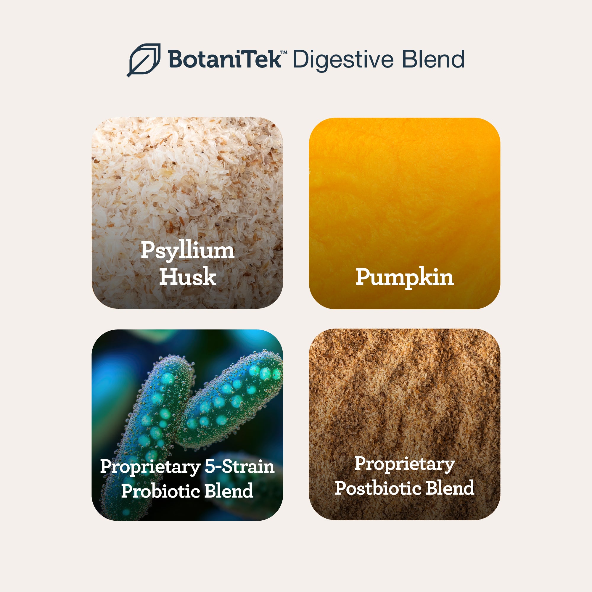 Pre+ Post+ Probiotic Chews