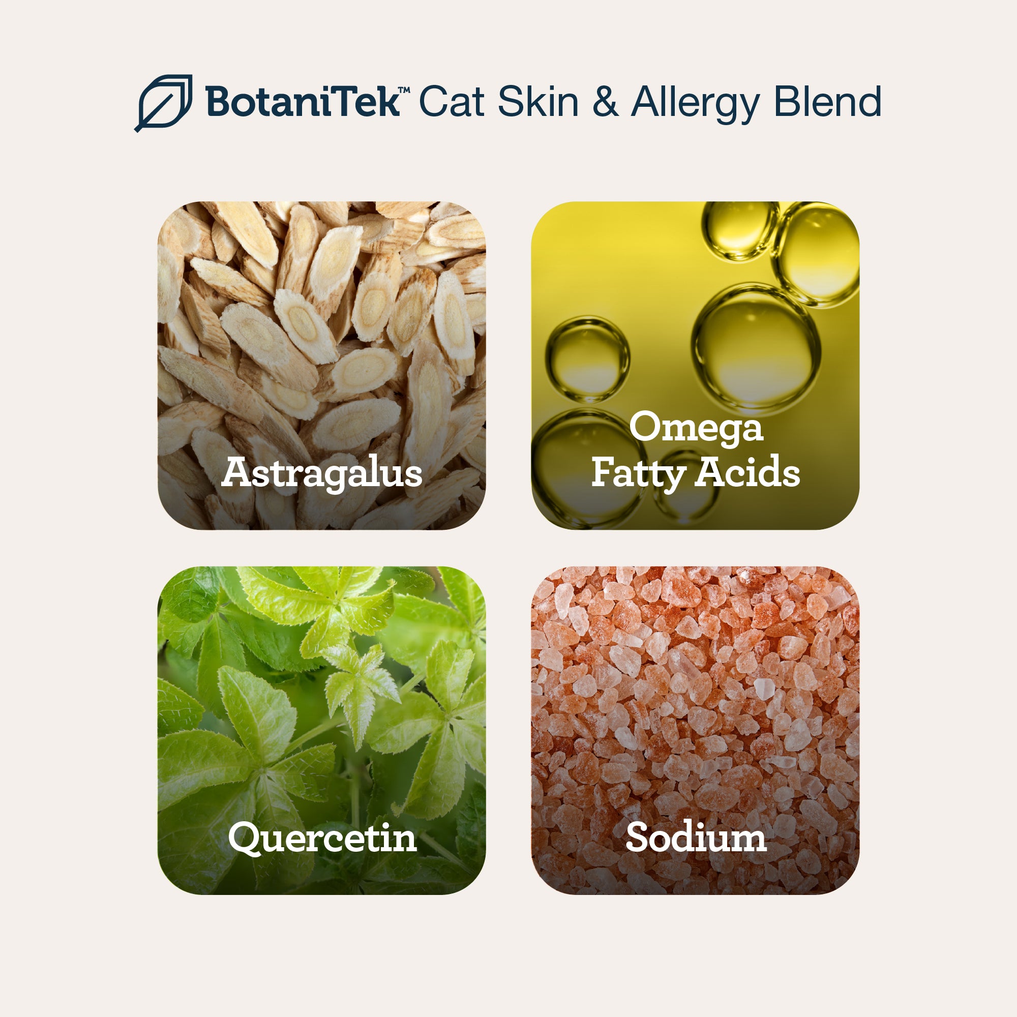 Skin & Allergy Wellness Lick