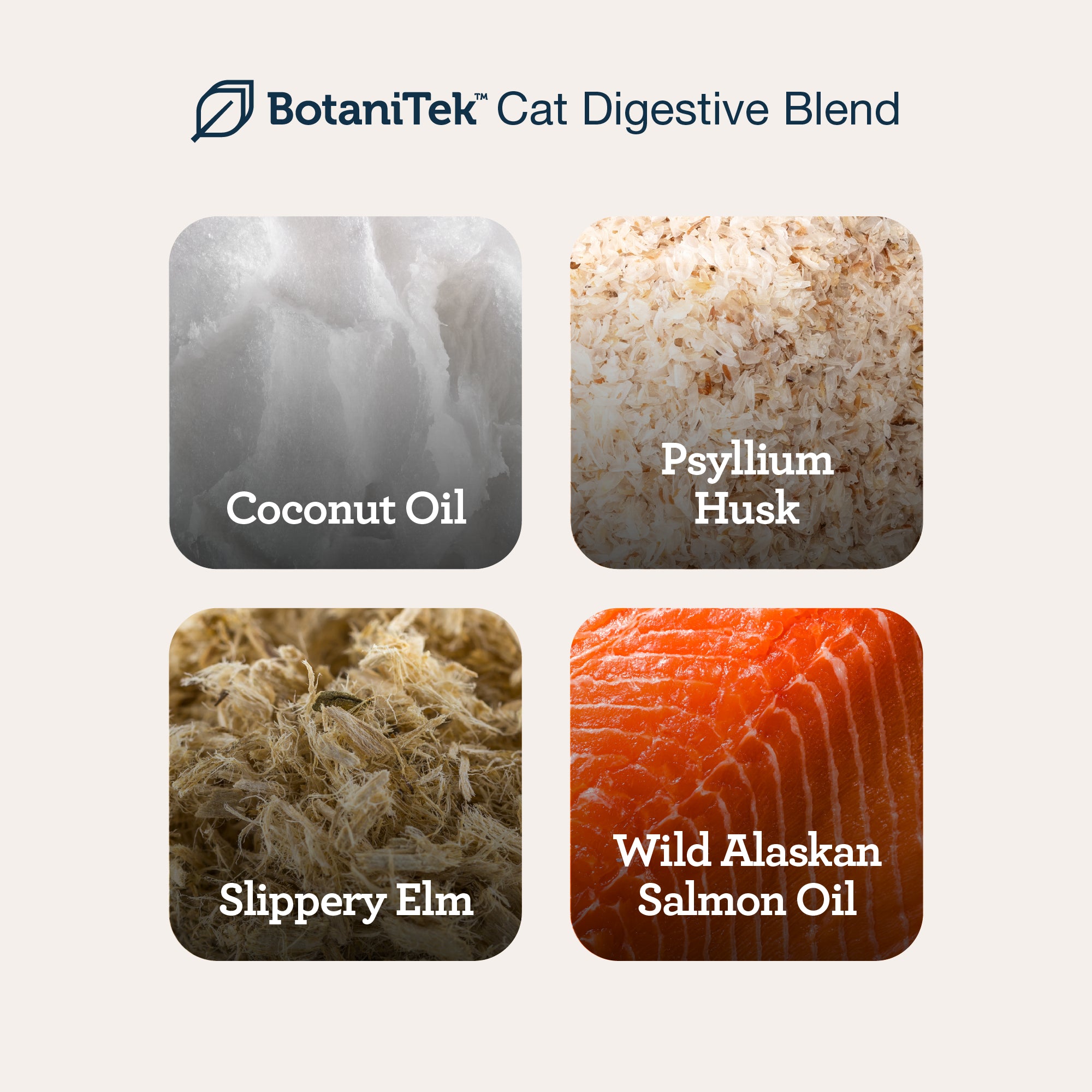 3-in-1 Cat Health Wellness Trio