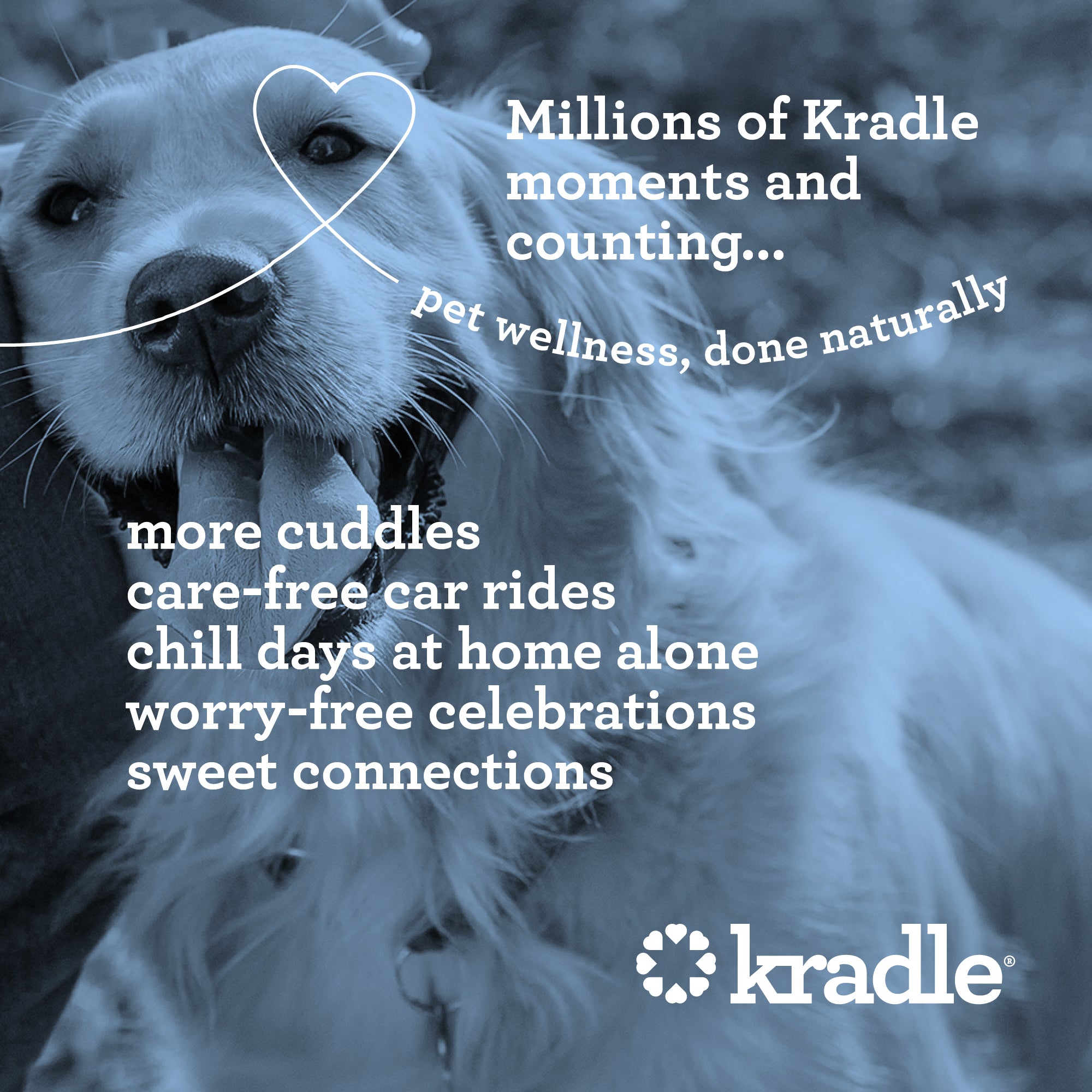 Daily Calming Chews For Dogs
