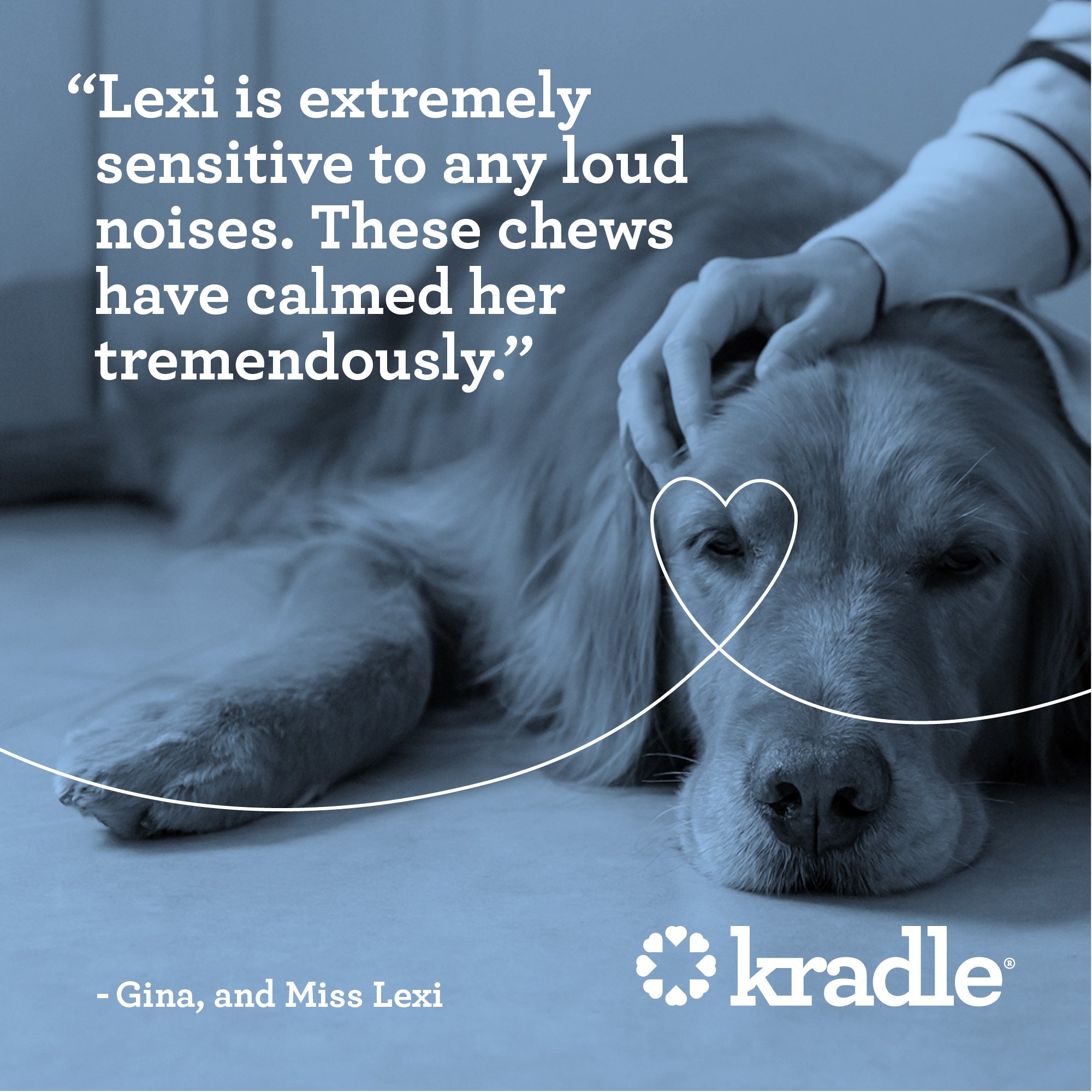 Daily Calming Chews For Dogs