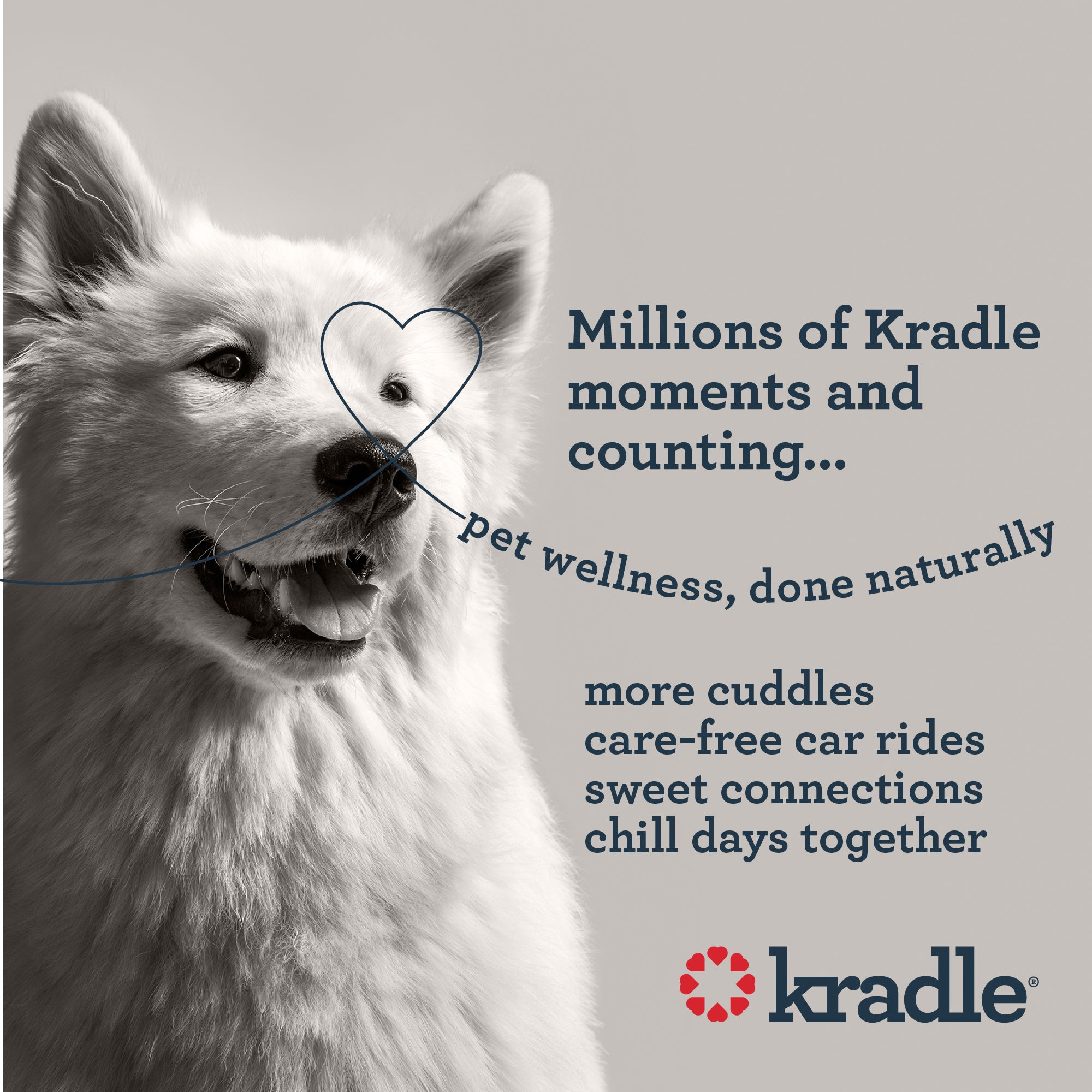Daily Calming Chews For Dogs