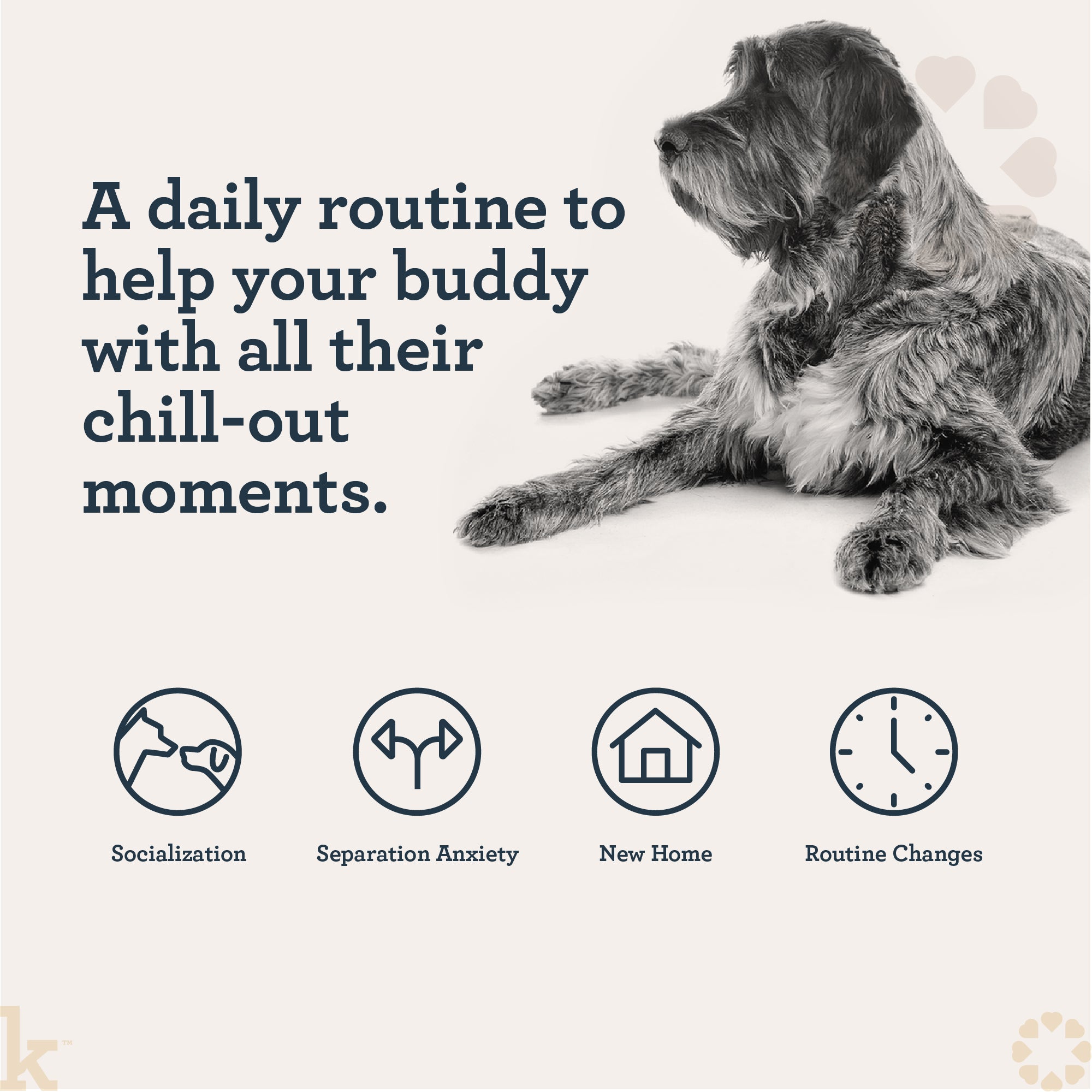 Daily Calming Chews For Dogs