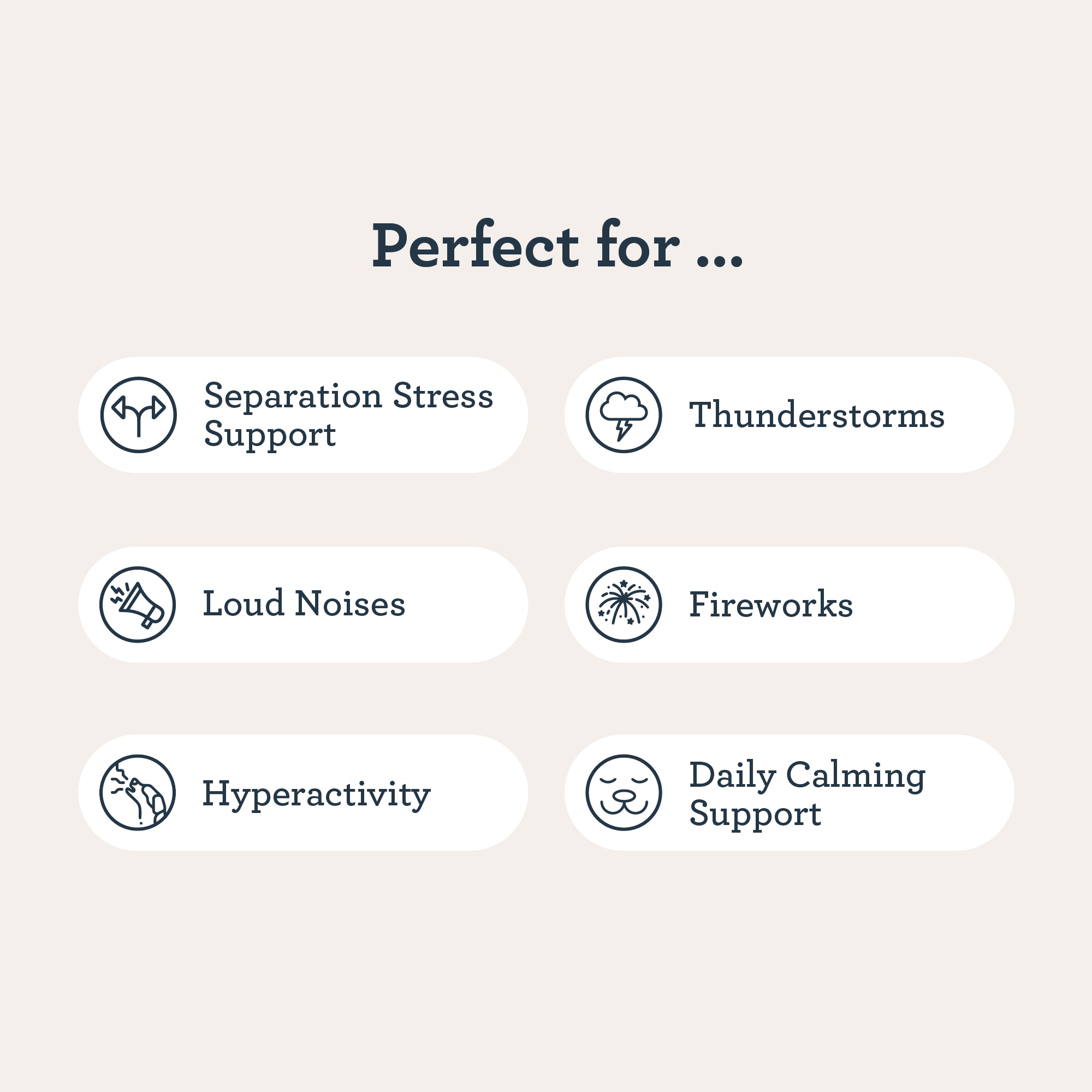All Day Calming Bone Refill Kit