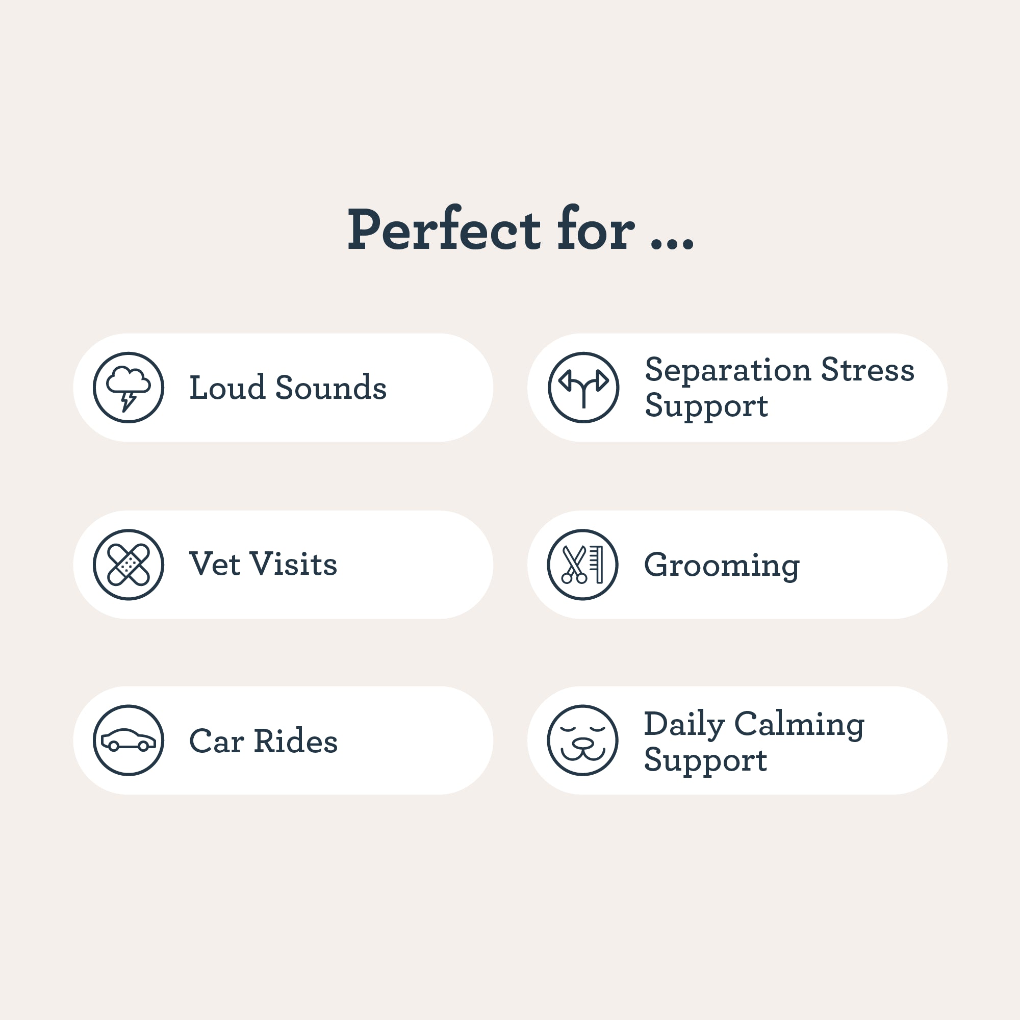 Daily Calming Chews For Dogs