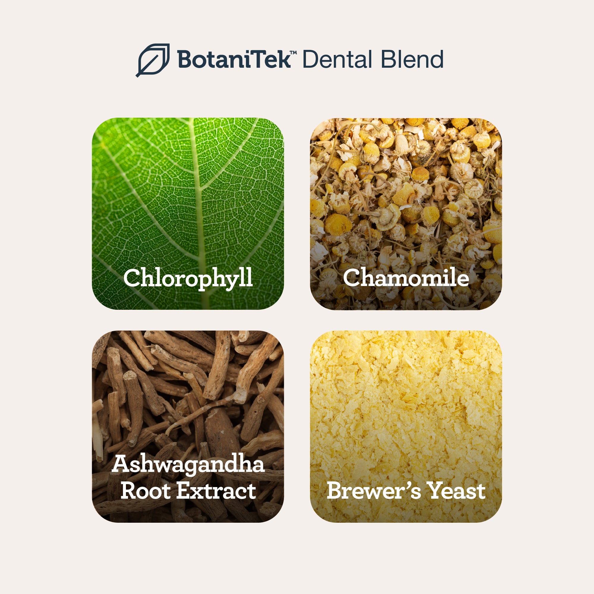 Daily Dental Chews