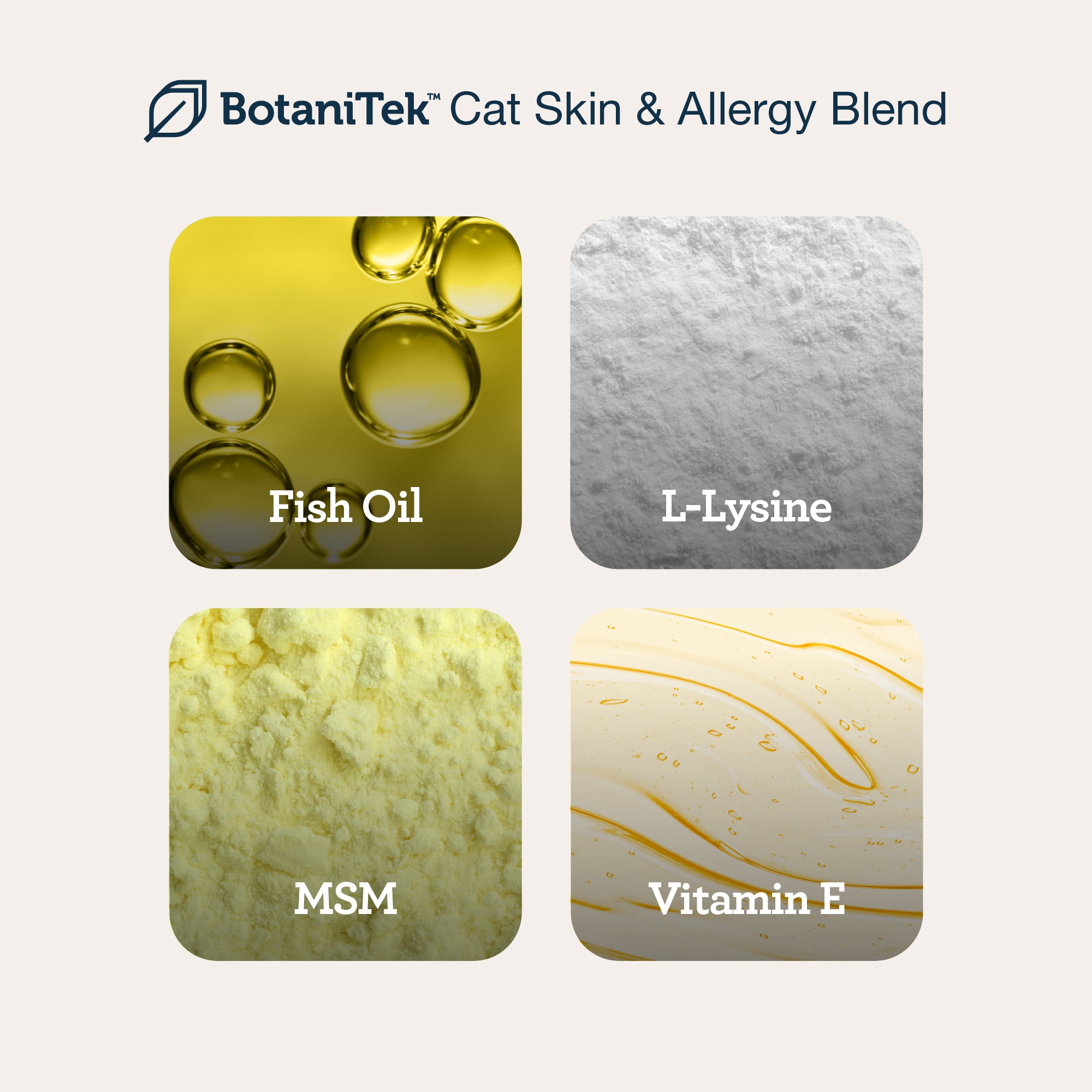 Cat Hairball & Skin Harmony Duo