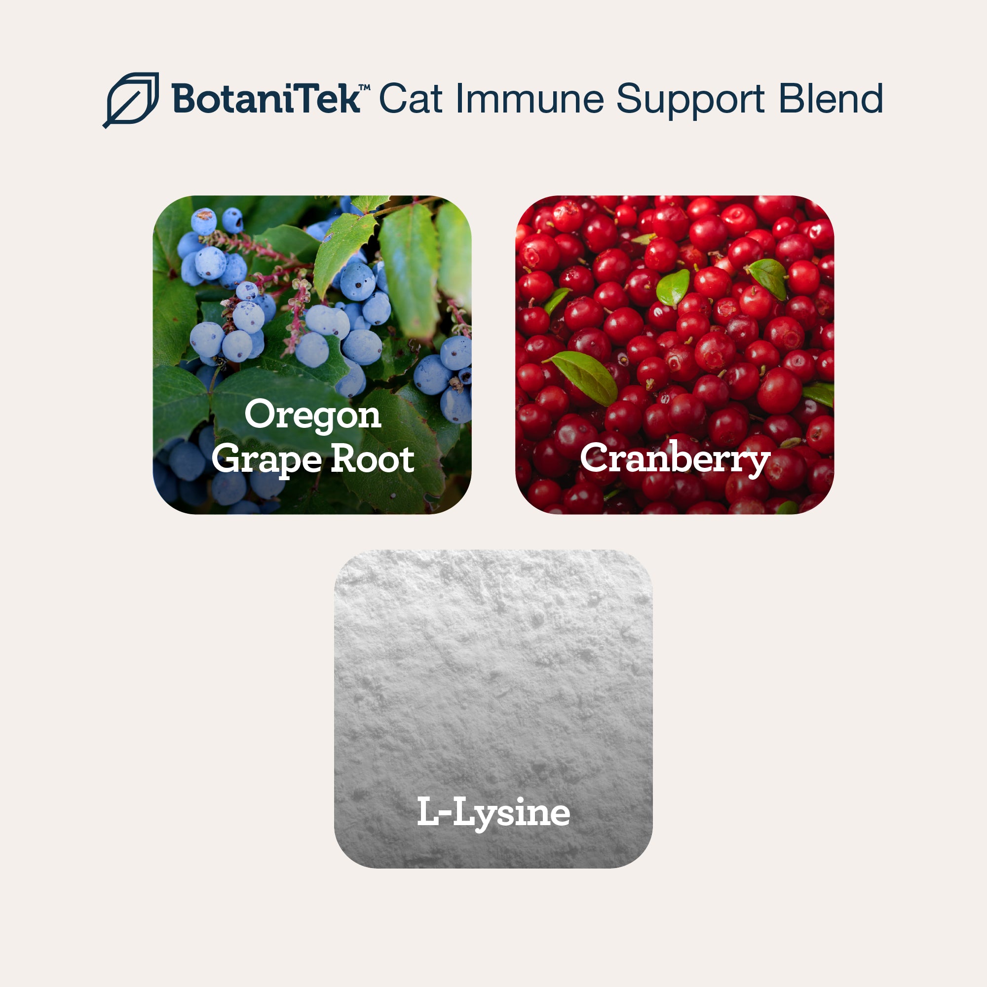 Urinary Wellness Lick