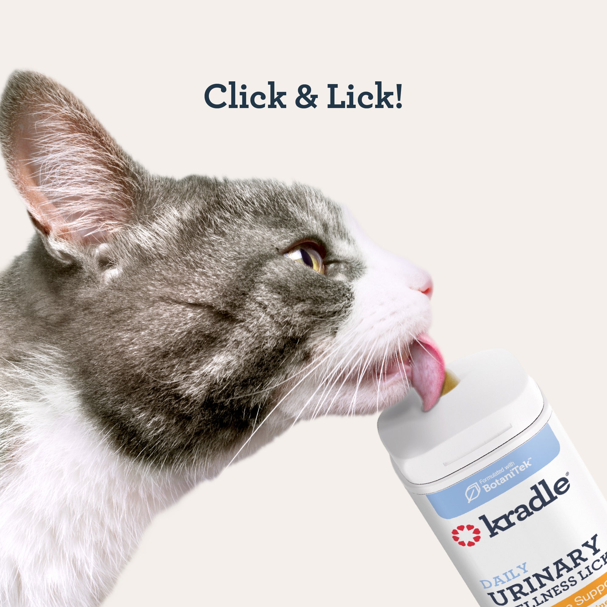 Urinary Wellness Lick